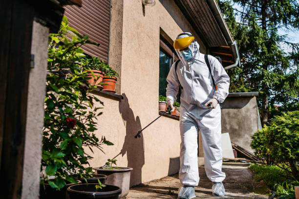 Best Local Pest Control Services  in Farmland, IN