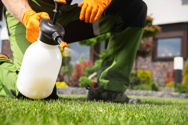 Best Mosquito Control Services  in Farmland, IN