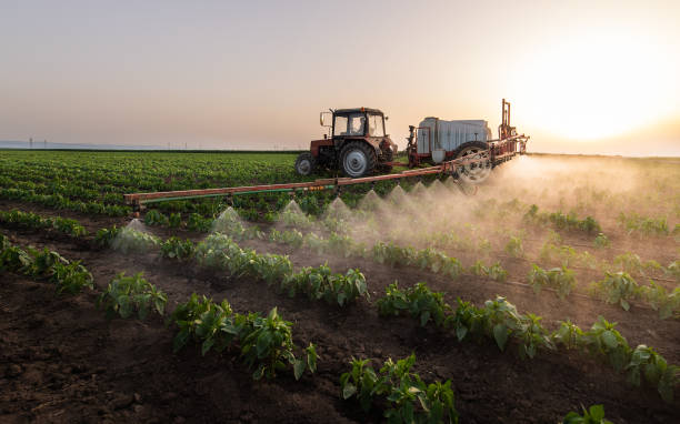 Best Pest Prevention Services  in Farmland, IN