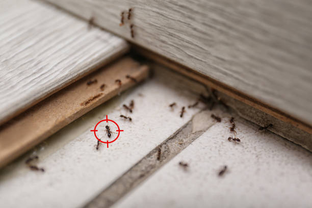 Best Exterminator Services  in Farmland, IN