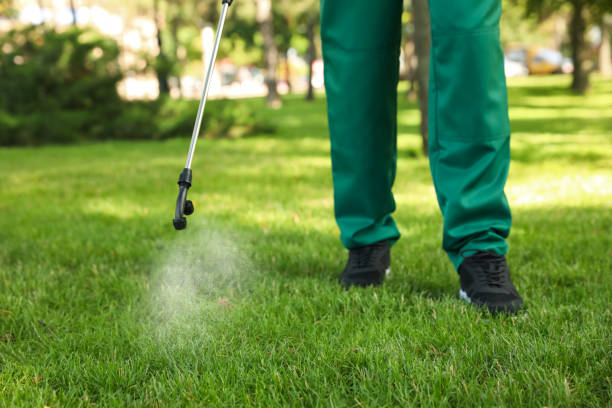 Best Residential Pest Control  in Farmland, IN