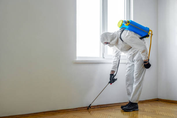 Best Pest Prevention Services  in Farmland, IN