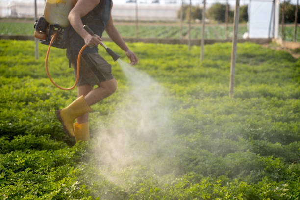 Best Ant Control Services  in Farmland, IN