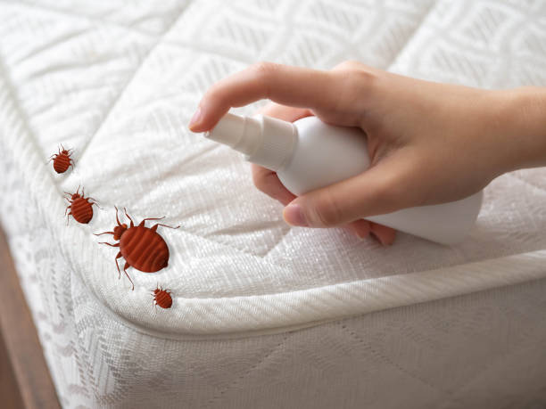 Best Pest Control Near Me  in Farmland, IN