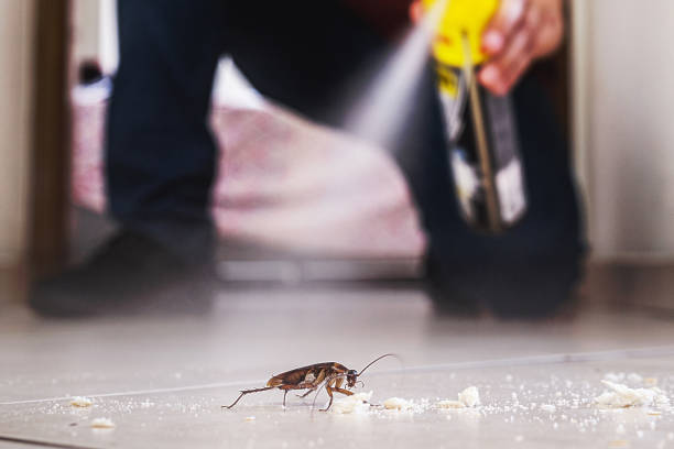 Best Insect Control  in Farmland, IN