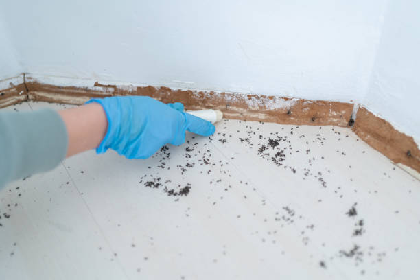 Best Best Pest Control Companies  in Farmland, IN