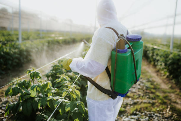 Best Termite Control Services  in Farmland, IN